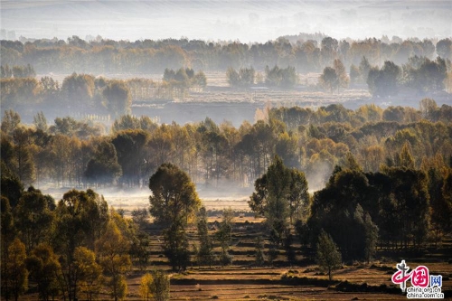 f44d30758a2f1d2e3ce047