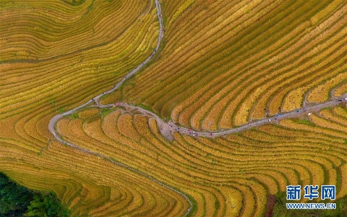 129972923_15396978764561n