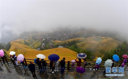 廣西勝各族龍脊梯田