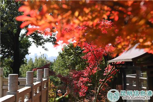 1490853841 1490853841