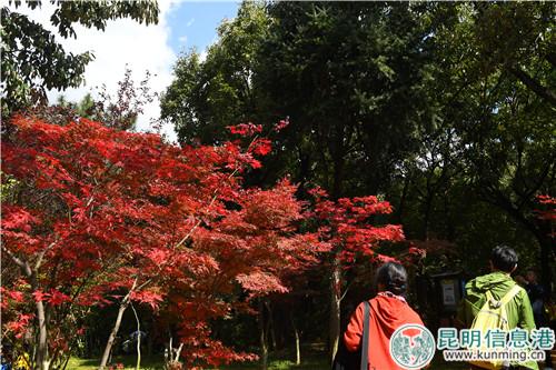 1244427562 1244427562