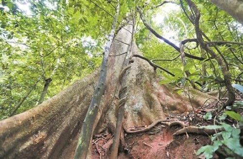 QQ截圖20181018083250 QQ截圖20181018083250