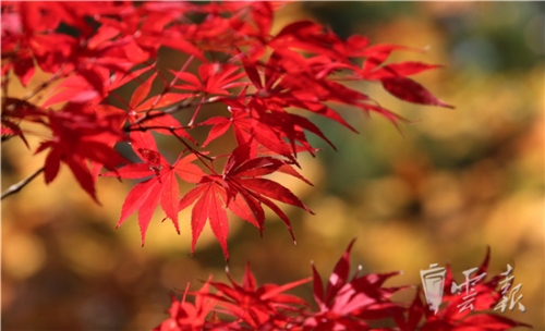 20181020055835489 20181020055835489