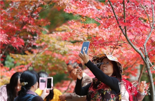 20181020055844493 20181020055844493