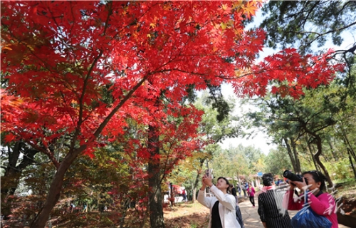 20181020055852738 20181020055852738