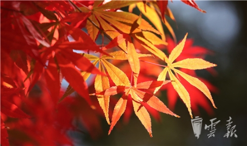 20181020055909964 20181020055909964