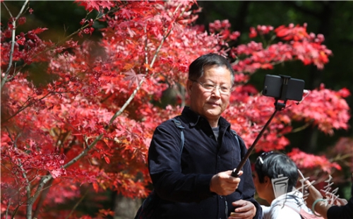 20181020055916424 20181020055916424