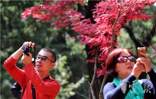 20181020055922626 20181020055922626