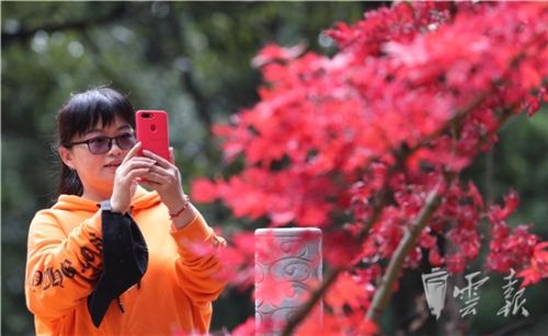 20181020055950381 20181020055950381