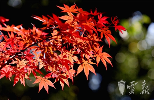 20181020060027803 20181020060027803