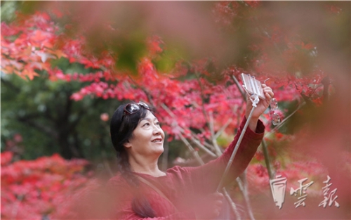 20181020060038590 20181020060038590