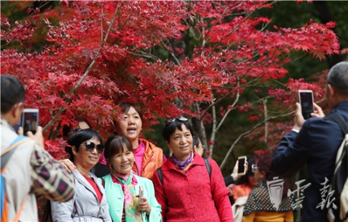 20181020060047213 20181020060047213