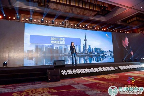 中國財經(jīng)評論家葉檀