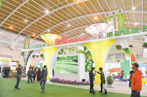 28191540143948150 28191540143948150