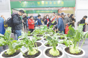 81331540143948165 81331540143948165