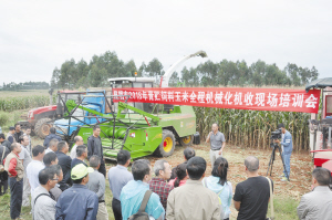 74251540143948181 74251540143948181