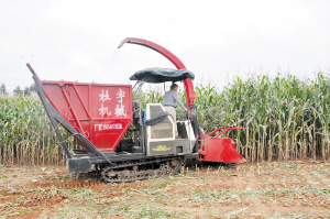 31311540143948196 31311540143948196