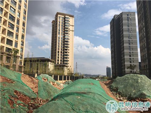 挖開的道路用綠網(wǎng)蓋住 挖開的道路用綠網(wǎng)蓋住