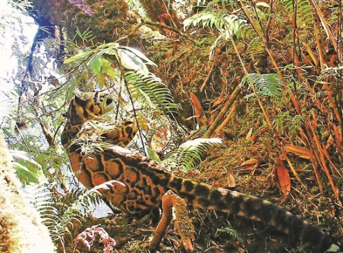 2018102403_res11_attpic_brief 2018102403_res11_attpic_brief