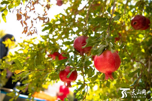 00350539835_b806ad42 00350539835_b806ad42