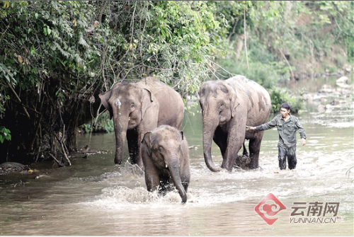 00300162439_8f38bc07