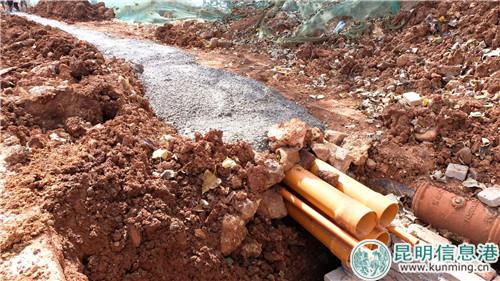 施工中的春雨路。記者俞逍攝