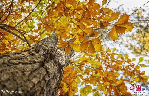 77c137cb-fb55-412e-81d0-99af8bdbb9cf_batchwm (1) 77c137cb-fb55-412e-81d0-99af8bdbb9cf_batchwm (1)