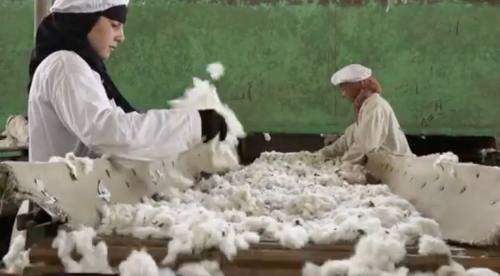 67621df774b1fcb0ef2182923cd25855