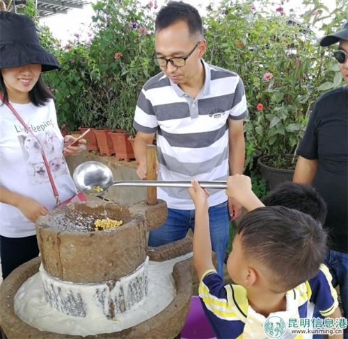 IMG_20181028_112211 IMG_20181028_112211