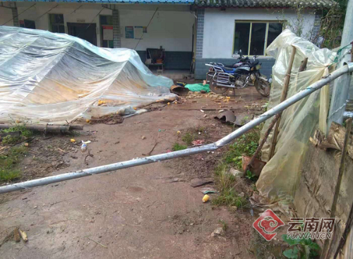 00300167799_9a2ff899 00300167799_9a2ff899