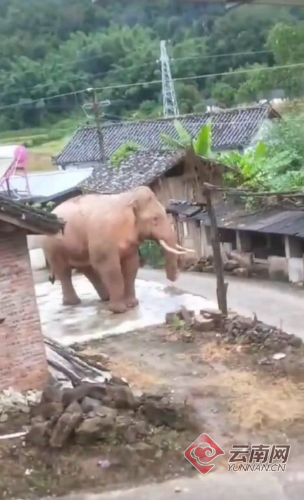 00300167800_c97b23de 00300167800_c97b23de