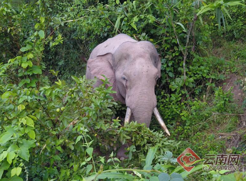 00300167801_0bca0cad 00300167801_0bca0cad