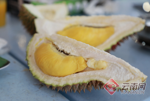 00300166217_cec52681 00300166217_cec52681