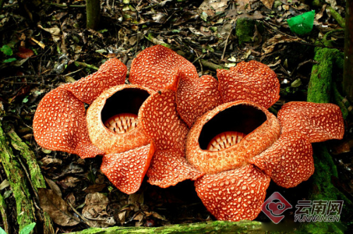 00300166206_11ff83c0 00300166206_11ff83c0