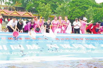 西雙版納 西雙版納