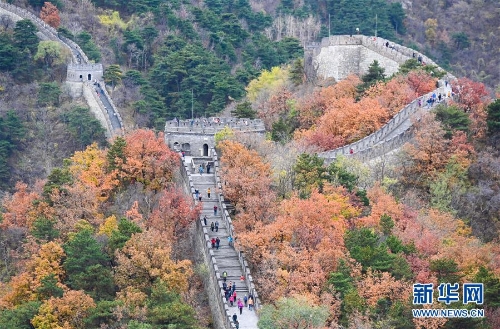 1123625268_15407354682141n 1123625268_15407354682141n