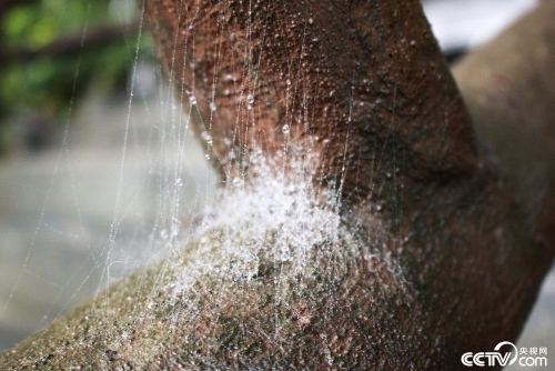 PHOT78ujZYHiyKhBlHZnKMe8181029_1000x2000 PHOT78ujZYHiyKhBlHZnKMe8181029_1000x2000