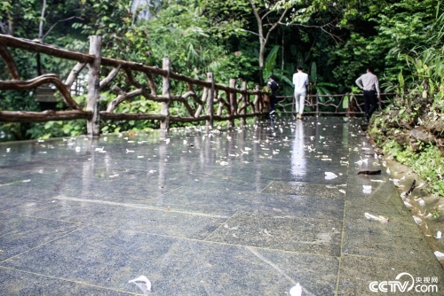 PHOTiljIMdZRzNucEnv3wobP181029_1000x2000 PHOTiljIMdZRzNucEnv3wobP181029_1000x2000