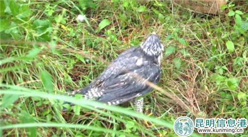 微信圖片_20181029223842 微信圖片_20181029223842