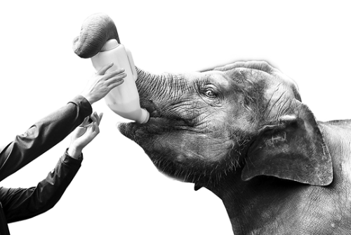 QQ截圖20181030091438 QQ截圖20181030091438