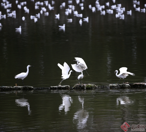 00300170944_3918c883