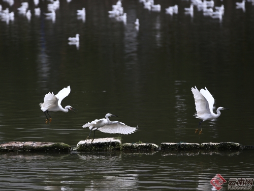 00300170946_8bc7ea0a