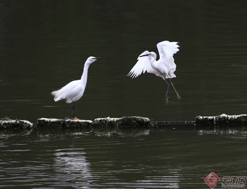 00300170947_dde06efc