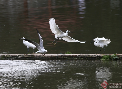 00300170948_081370af