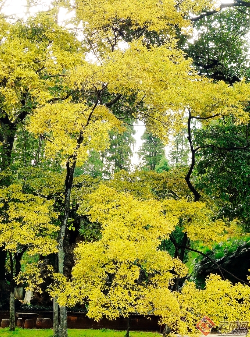 00300170949_341f0fbf