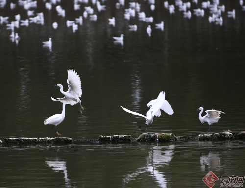 00300170952_e43b4939