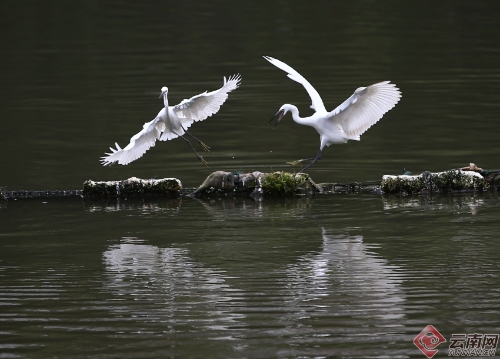 00300170953_ebf75a41