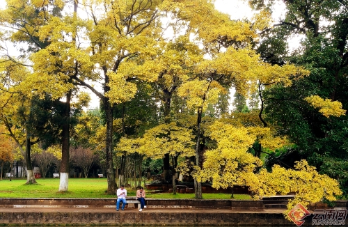 00300170954_c62d6245