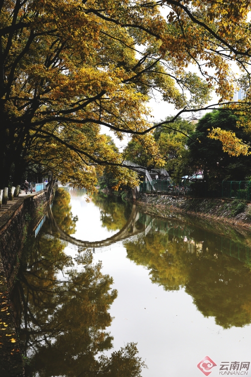 00300170956_49ebc0b2