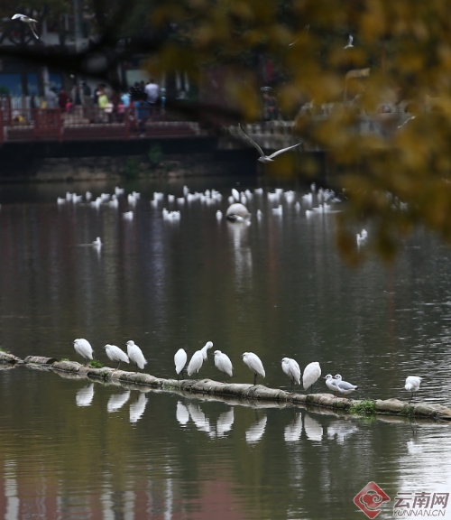 00300170957_eb9dd84f